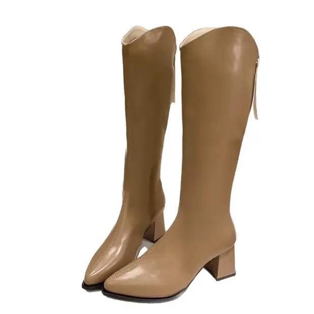 Bottes pour femmes de grande taille, décontractées et élégantes, style romain, à talon épais, bout pointu, mi-mollet, pour l'automne et l'hiver